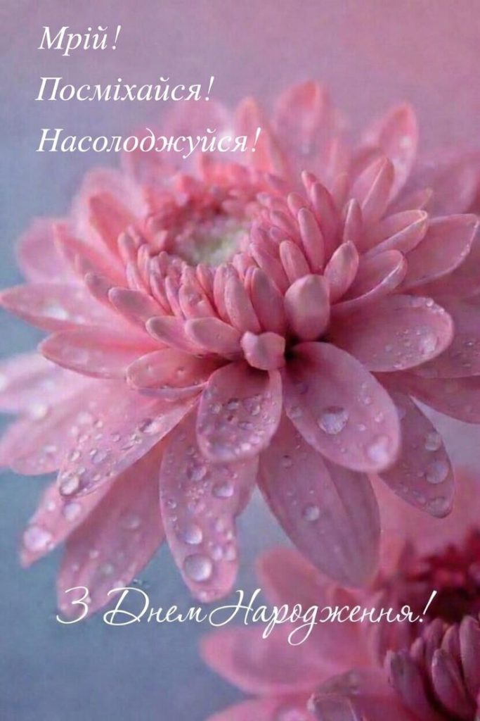 картинка 6 привітання однокласниці з днем народження, привітання з днем народження колишній однокласниці