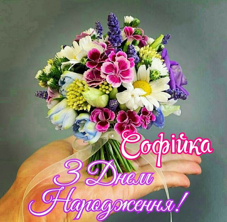 картинка 3 з днем народження софійка, з днем народження софія