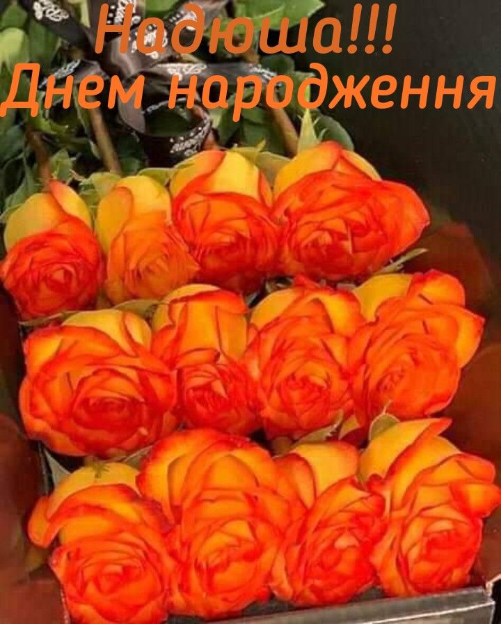 З днем народження Надія: найкращі привітання та душевні картинки для найдорожчої