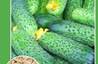Яке насіння обрати для гарного врожаю